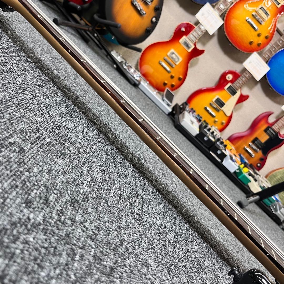 【10333】 Epiphone Tobias by Epiphone