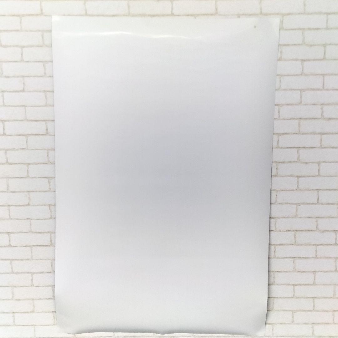 ウォルト・ディズニーワールド 25周年 マジカルイヤーズ 1996年 ポスター