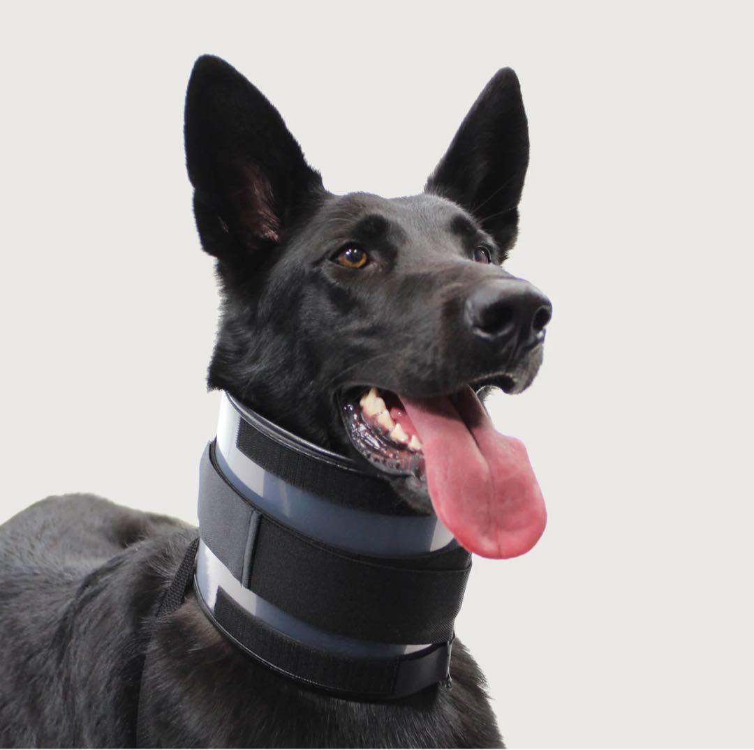 バイトノットカラー 7号サイズ