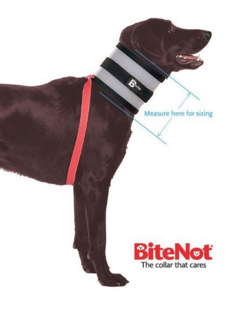 バイトノットカラー 7号サイズ