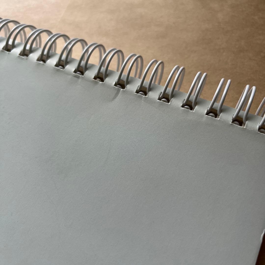 SOPHIE CALLE ソフィ カル　限局性激痛　原美術館　図録