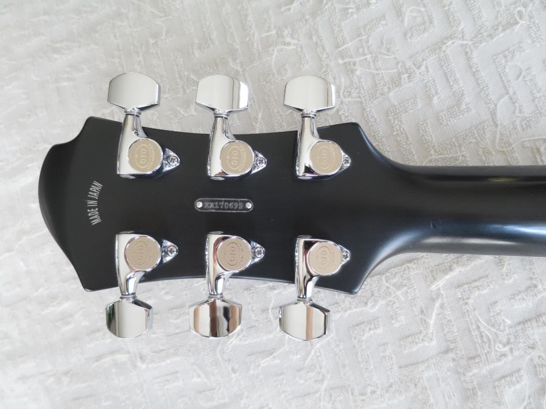 Zemaitis CS24MF DRAGON & HEART（Black）