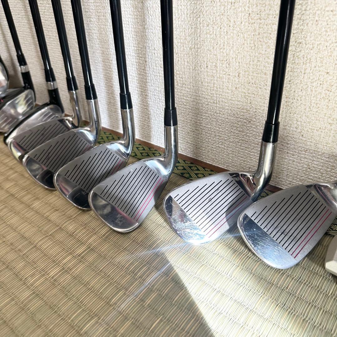 WORLD EAGLE レディース ゴルフクラブ 10本セット FL-01 V2