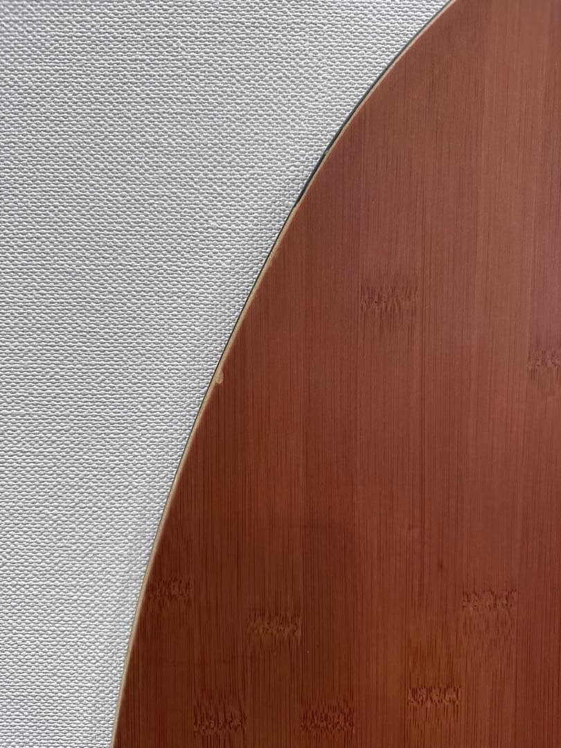 スノーボード GENTEMSTICK SUPER FISH