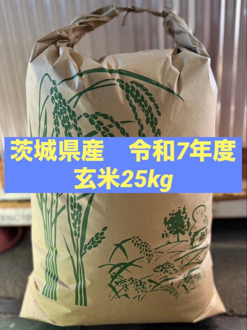 玄米　袋の重さ込みで25kg 数量限定　残りわずか　米　ご飯　うまい