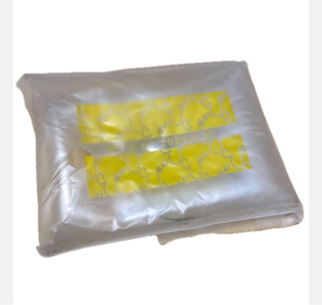 Eve ライブグッズ タオル2/バッグ1つ/スマホストラップ/CD/DVD