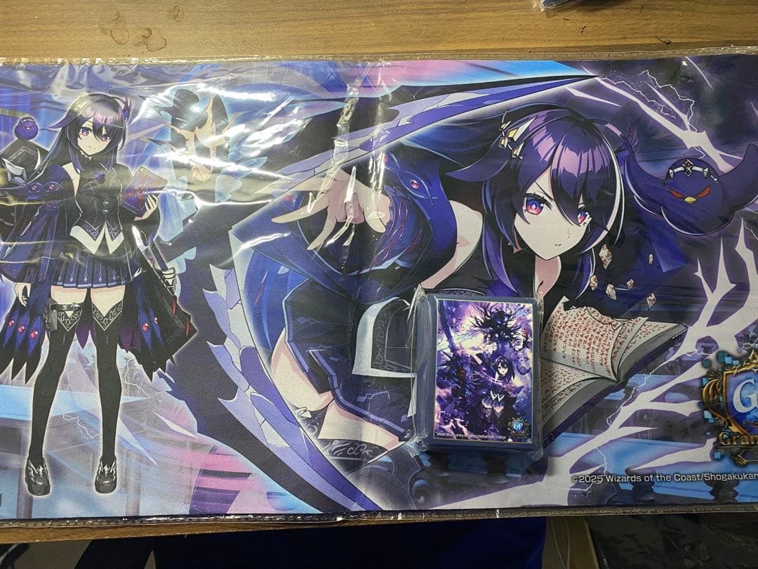 デュエプレGP ノイン　 プレイマット&スリーブ