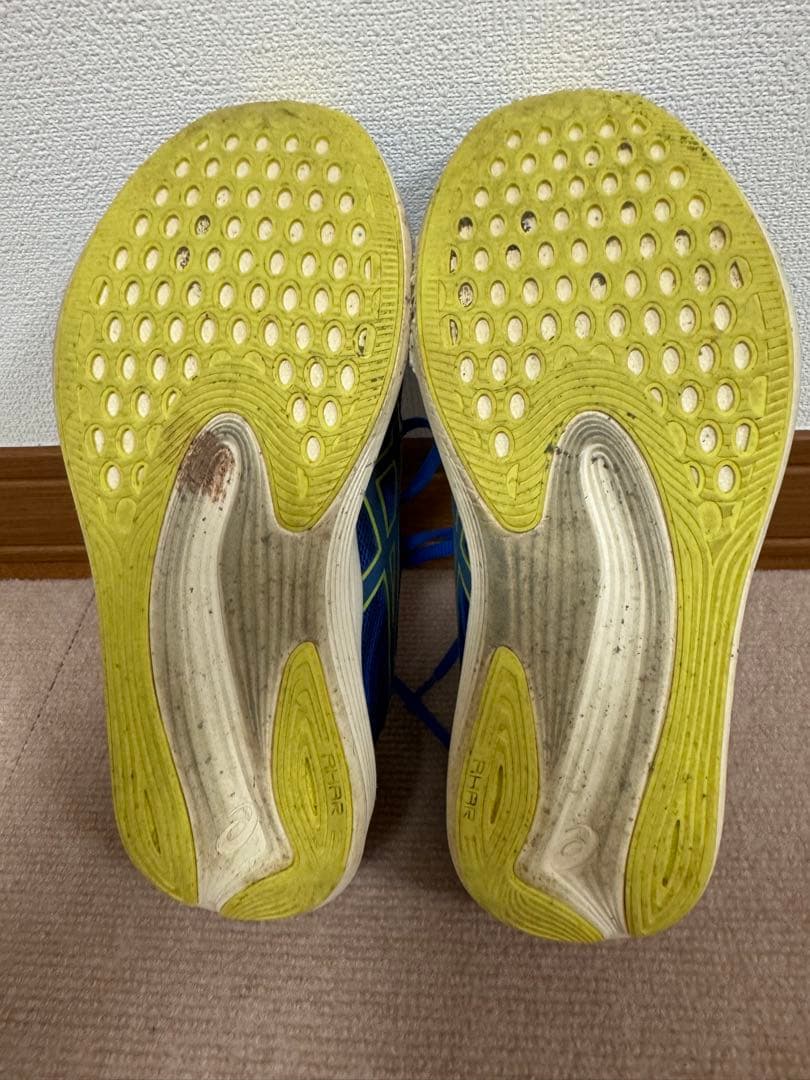 ASICS EVORIDE SPEED 25.5cm ブルー