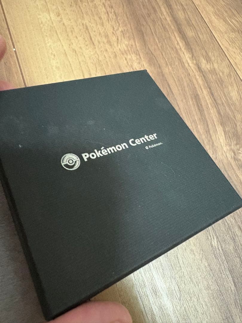 ポケモン　ダイゴ　メガラペルピン