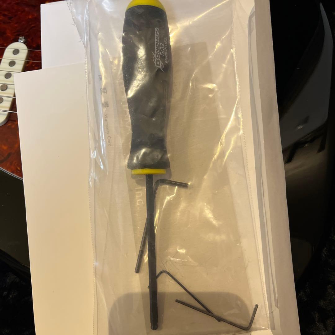 レア JAMES TYLER USA スペシャルエディション ブラッククラシック