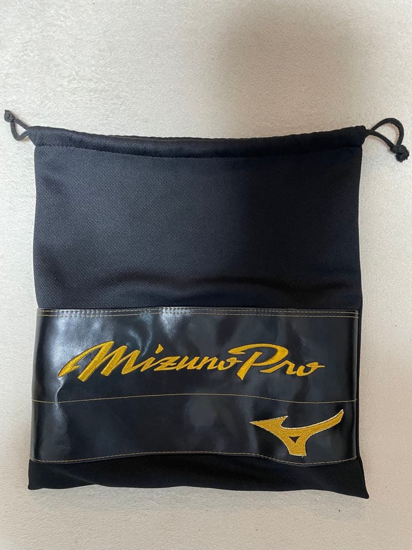 Mizuno Pro 硬式グローブ 外野