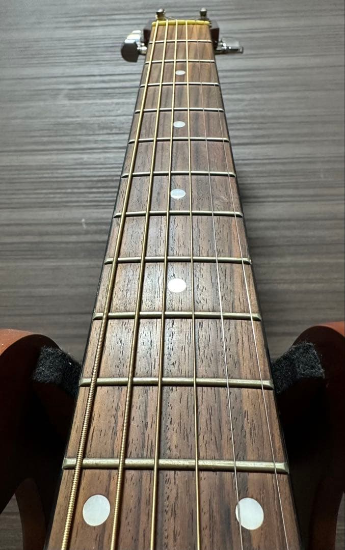 【 Stafford SF-S1 】エレアコ