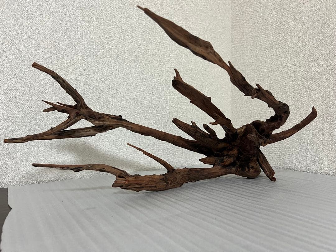 HX-083 流木　ホーンウッド　マシンガンウッド　アクアリウム　ブランチウッド