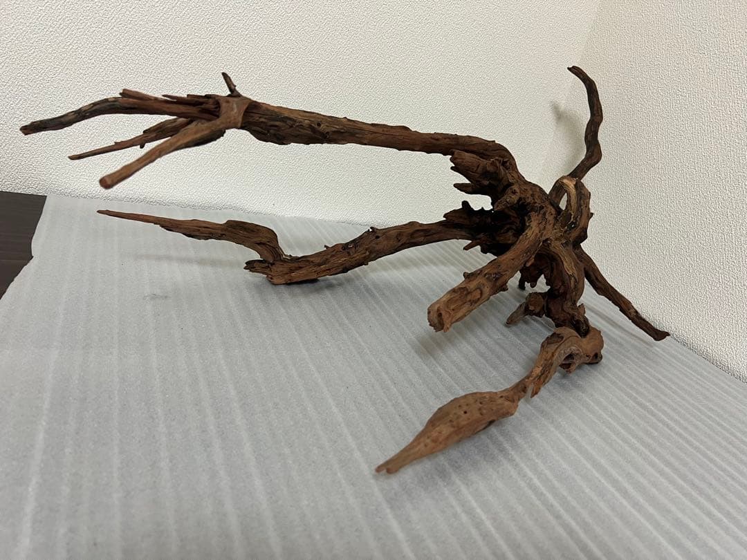 HX-083 流木　ホーンウッド　マシンガンウッド　アクアリウム　ブランチウッド