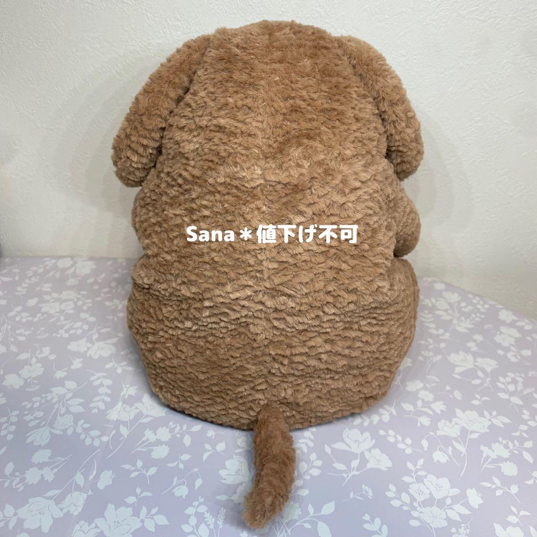 廃盤　新品　 Amore Dog アモーレ ドッグ 犬