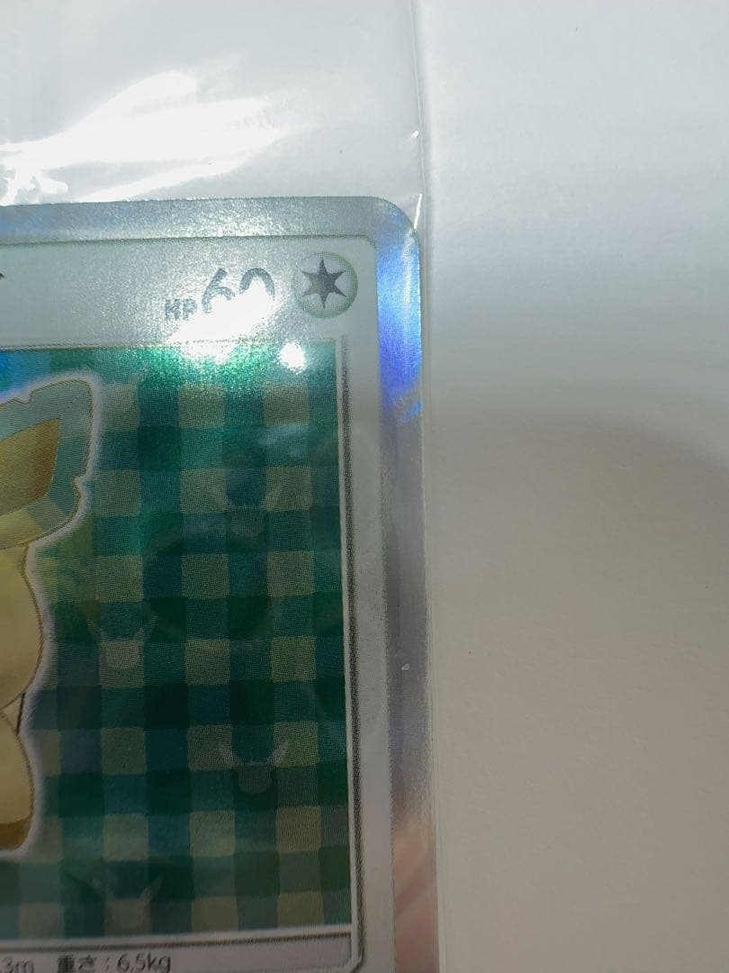 ポンチョを着たイーブイ　未開封　リーフィア　ポケモンカード