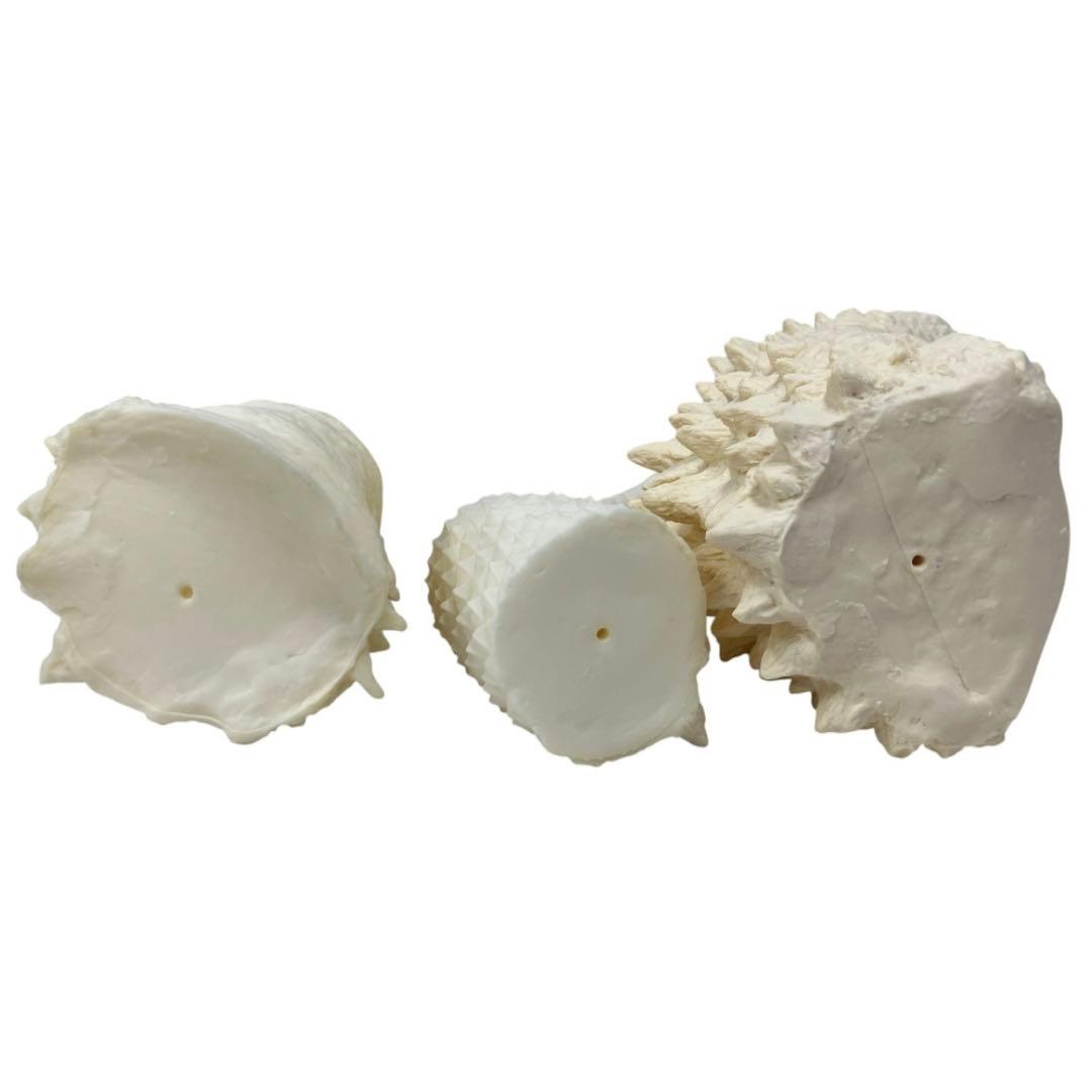 ARAID アレイド ウルトラマン シリーズ 第一弾 宇宙怪獣 ベムラー