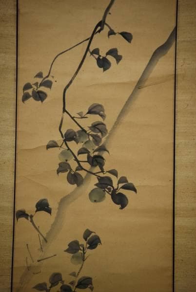 模写/松村景文/青梅図/布袋屋掛軸HC-888