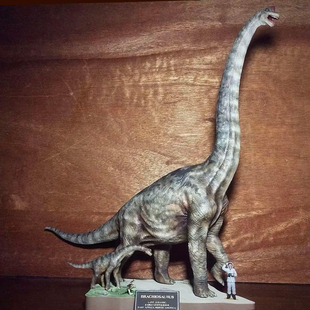 タミヤ ブラキオサウルス 情景セット 完成品！