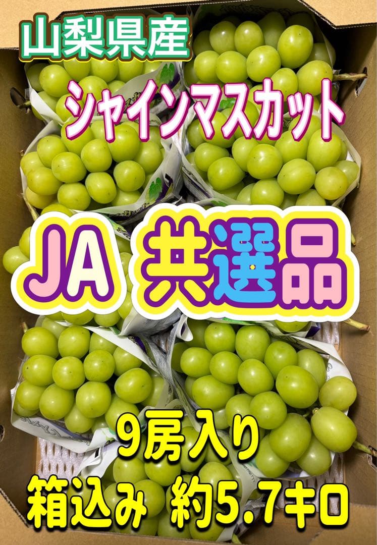 山梨県産JA共選品シャインマスカット⭐️9房入り箱込み約5.7キロ