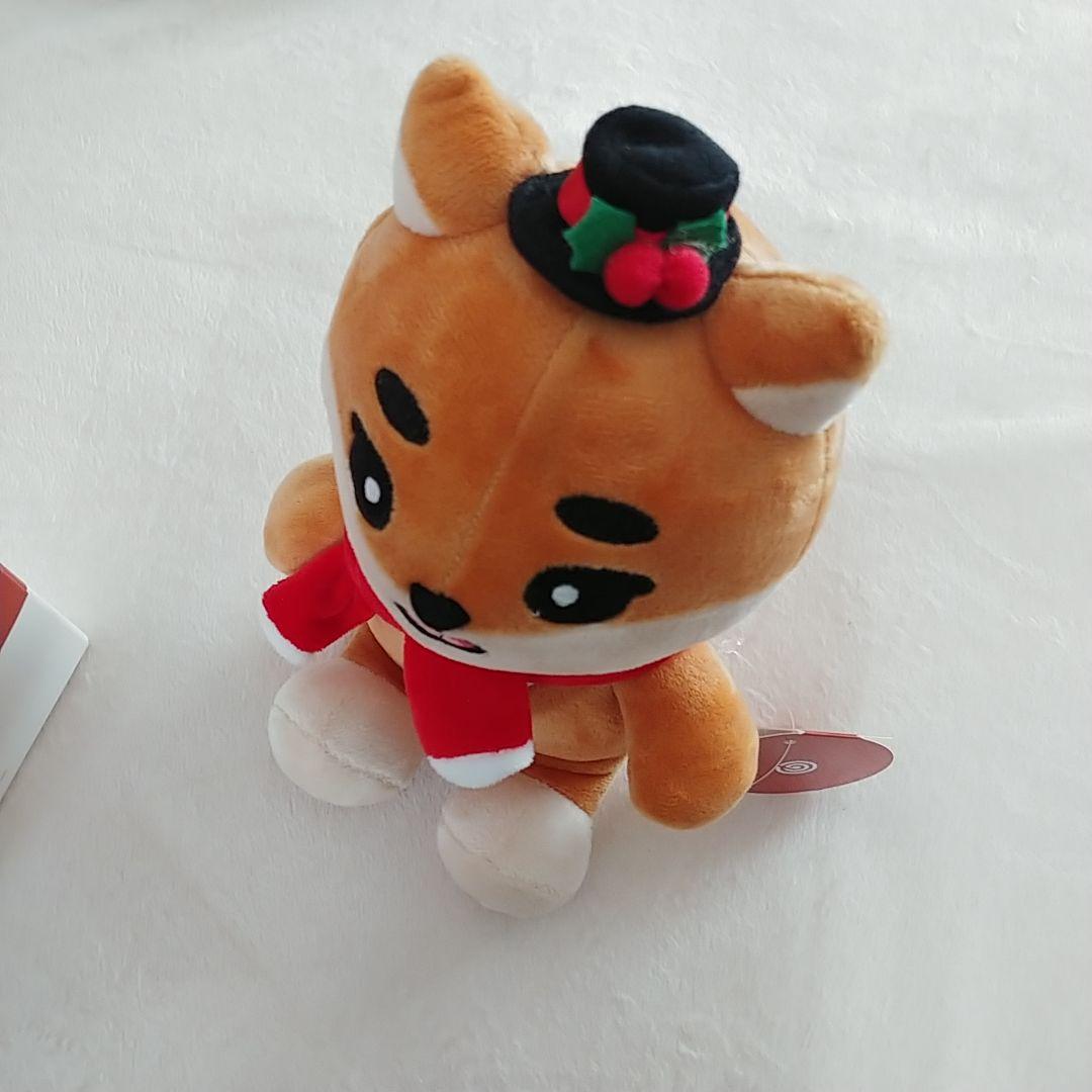 DAY6　ヨンケイ⑰