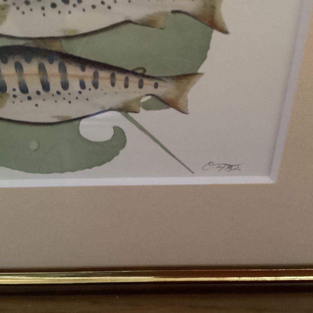 大場雅文作　山女魚アート画　作者サイン　【作品　額装裏】有り　制作NO０００１号