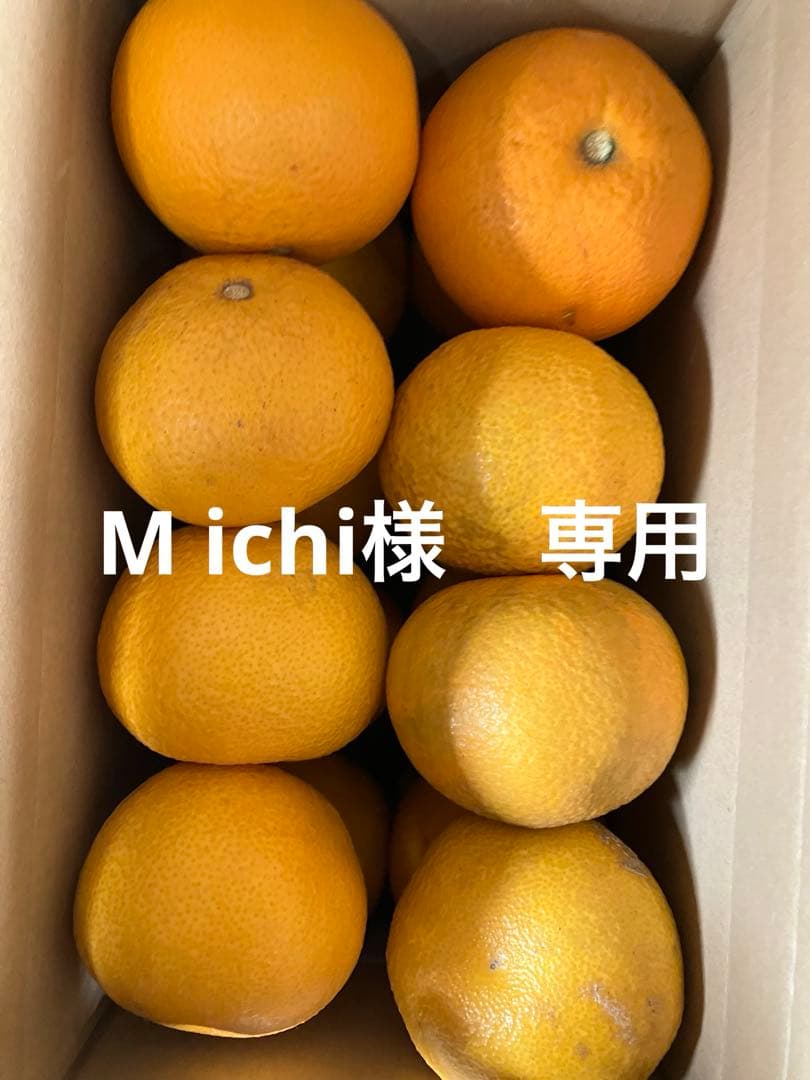M ichi
