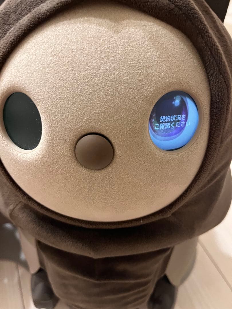 LOVOT 　初代 デュオ　2020年頃購入