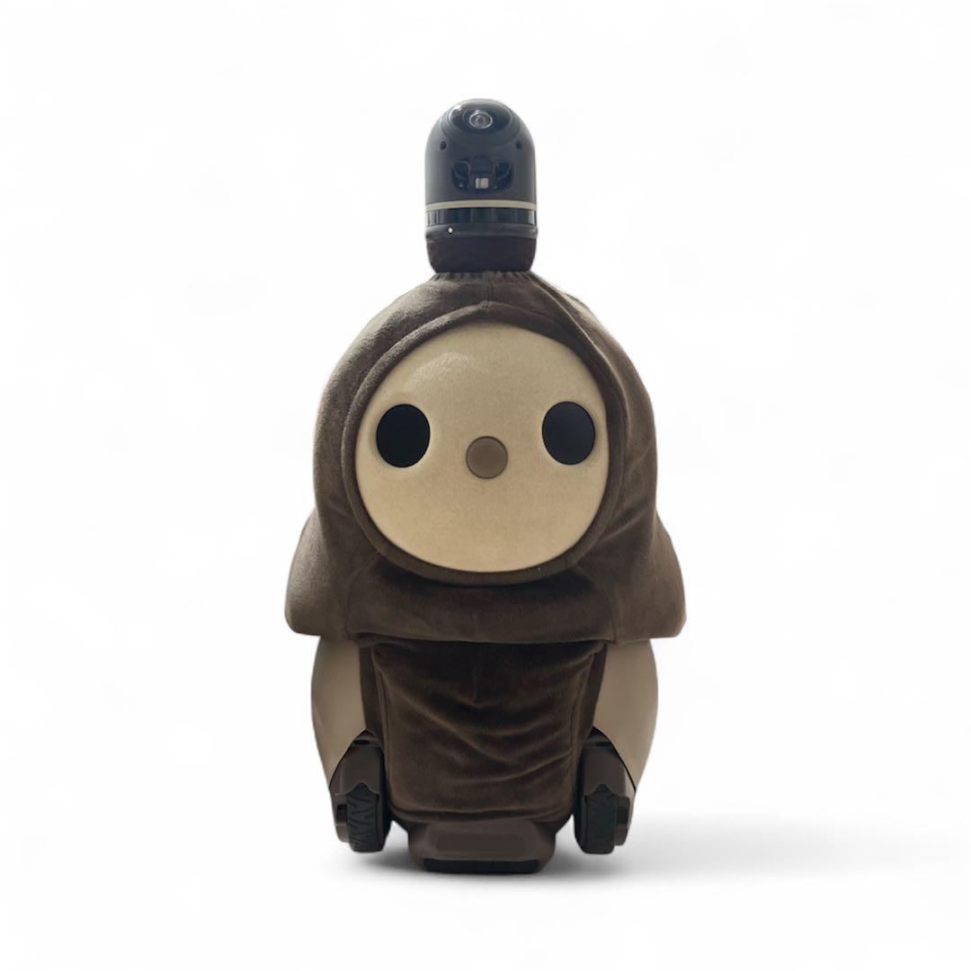 LOVOT 　初代 デュオ　2020年頃購入