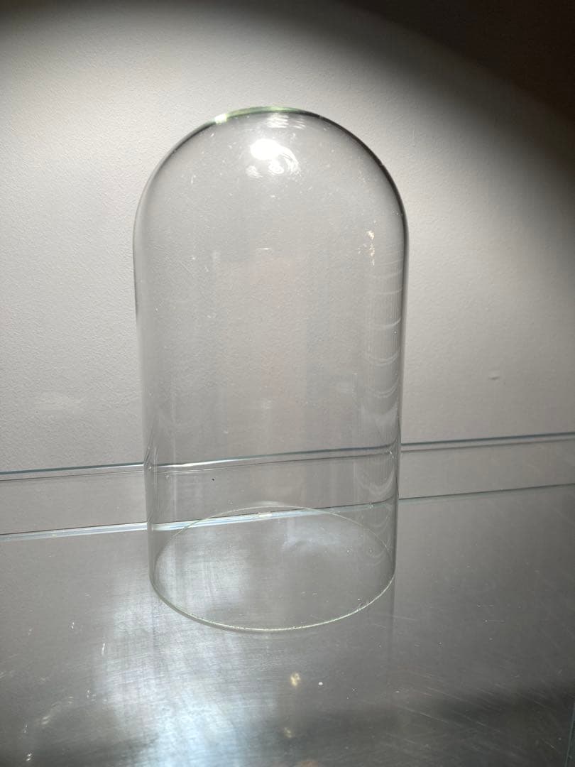 イギリスビクトリアングラスドームオブジェディスプレイ店舗什器蚤の市ガラスケース