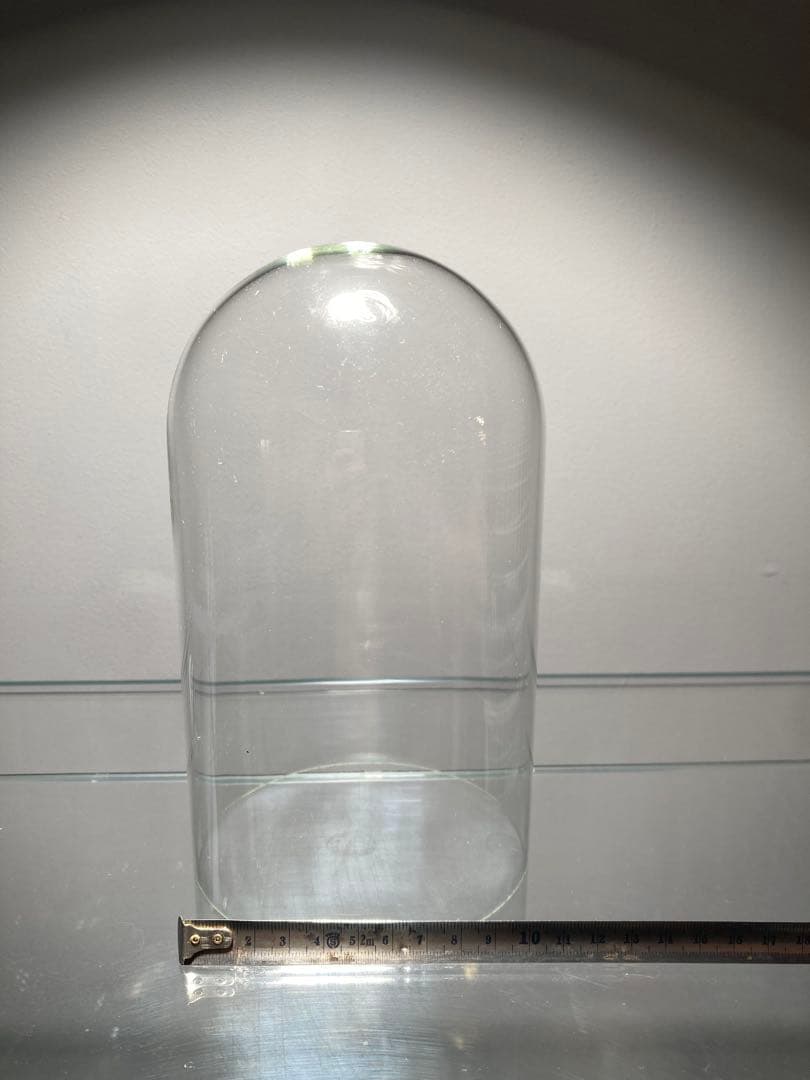 イギリスビクトリアングラスドームオブジェディスプレイ店舗什器蚤の市ガラスケース