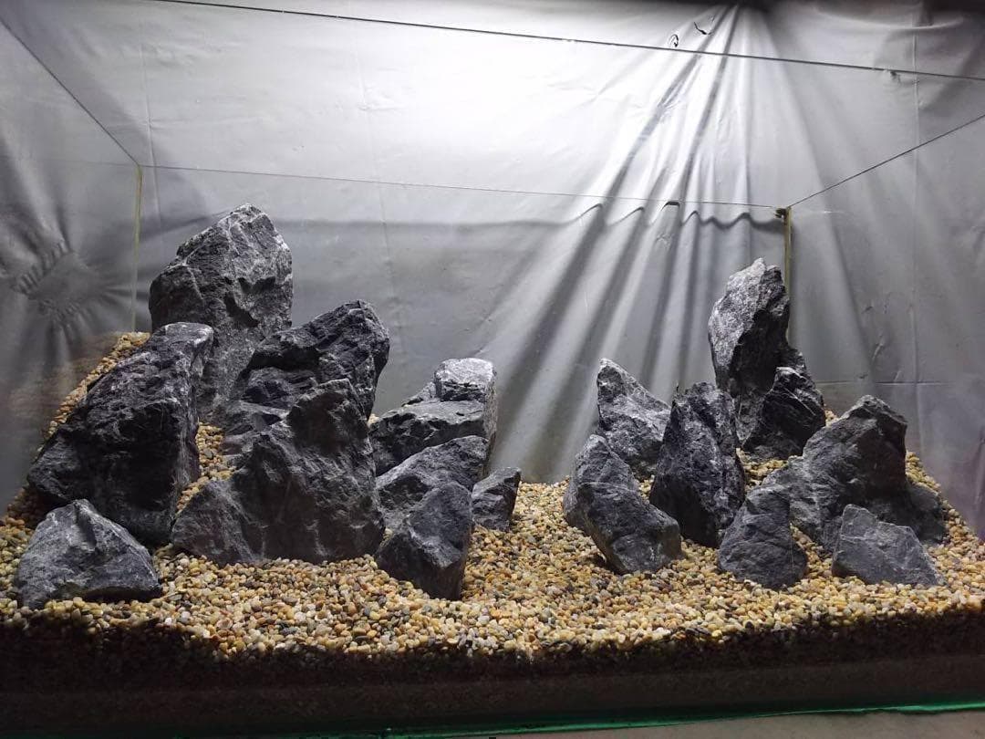 Gussan★ 4[新品　親石付]清流石20×2キロ★水槽　レイアウト