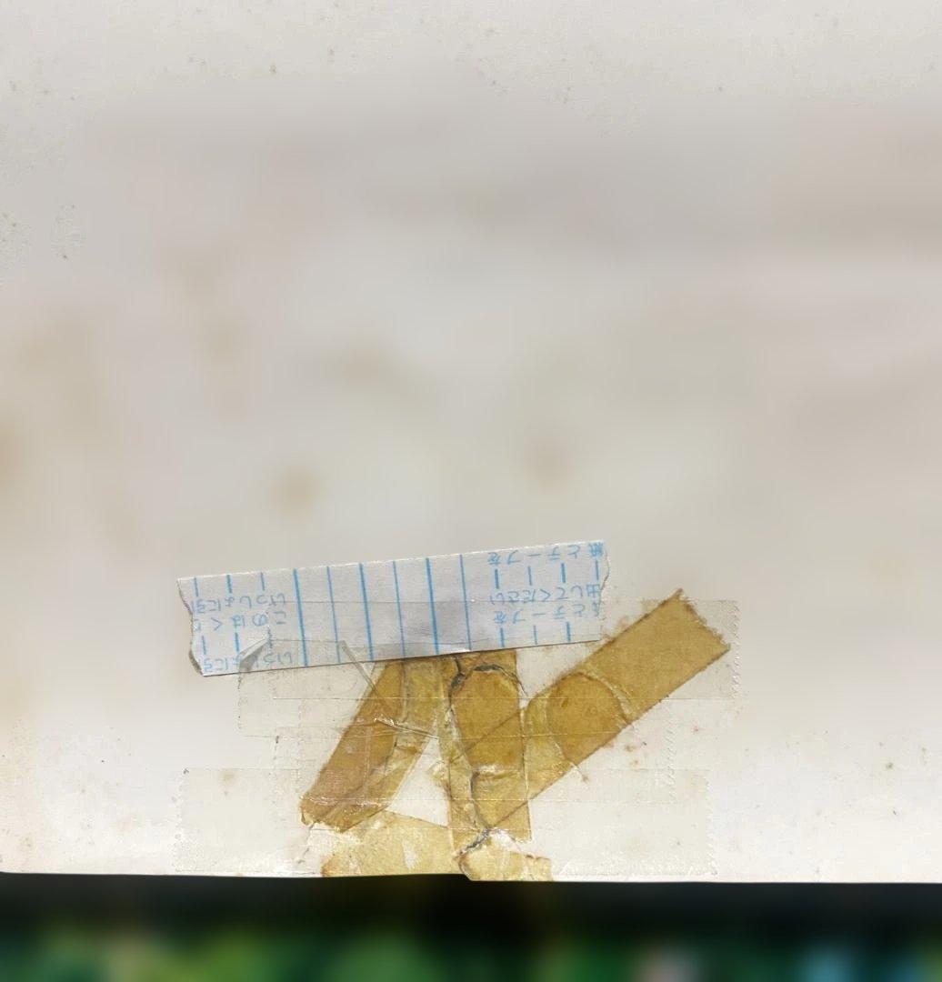 ファングッズ Godzilla vs. Charles Barkley Poster 1992