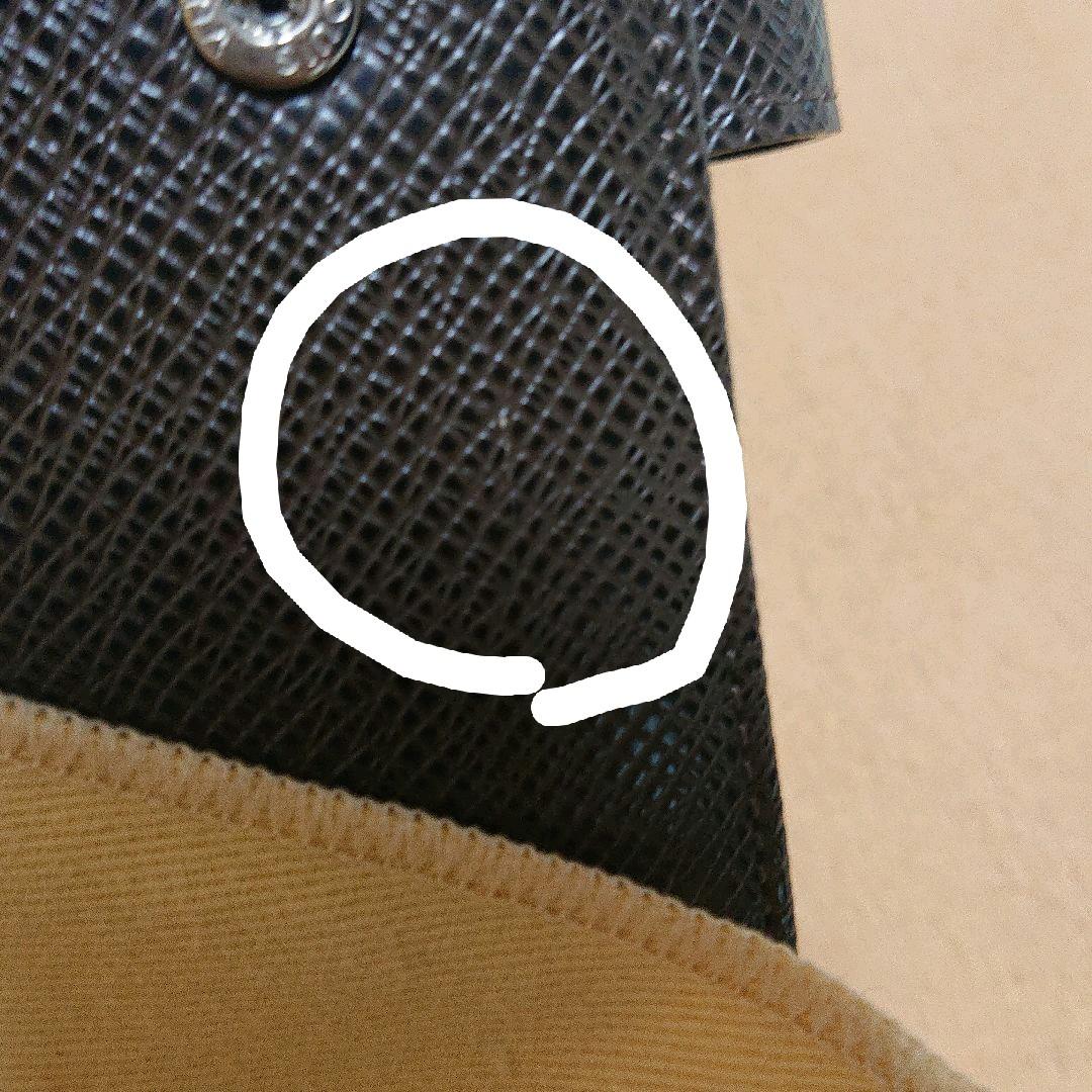 ルイヴィトン エピ  アジェンダ タイガ・ライン