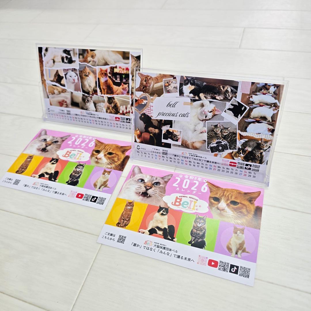 ②《猫》 卓上チャリティーカレンダー5枚セット