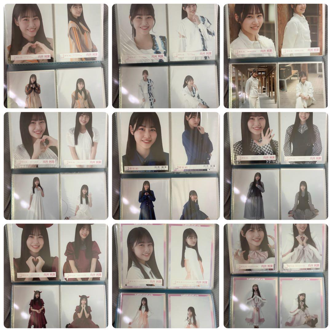 櫻坂46 向井純葉 生写真 コンプ まとめ売り