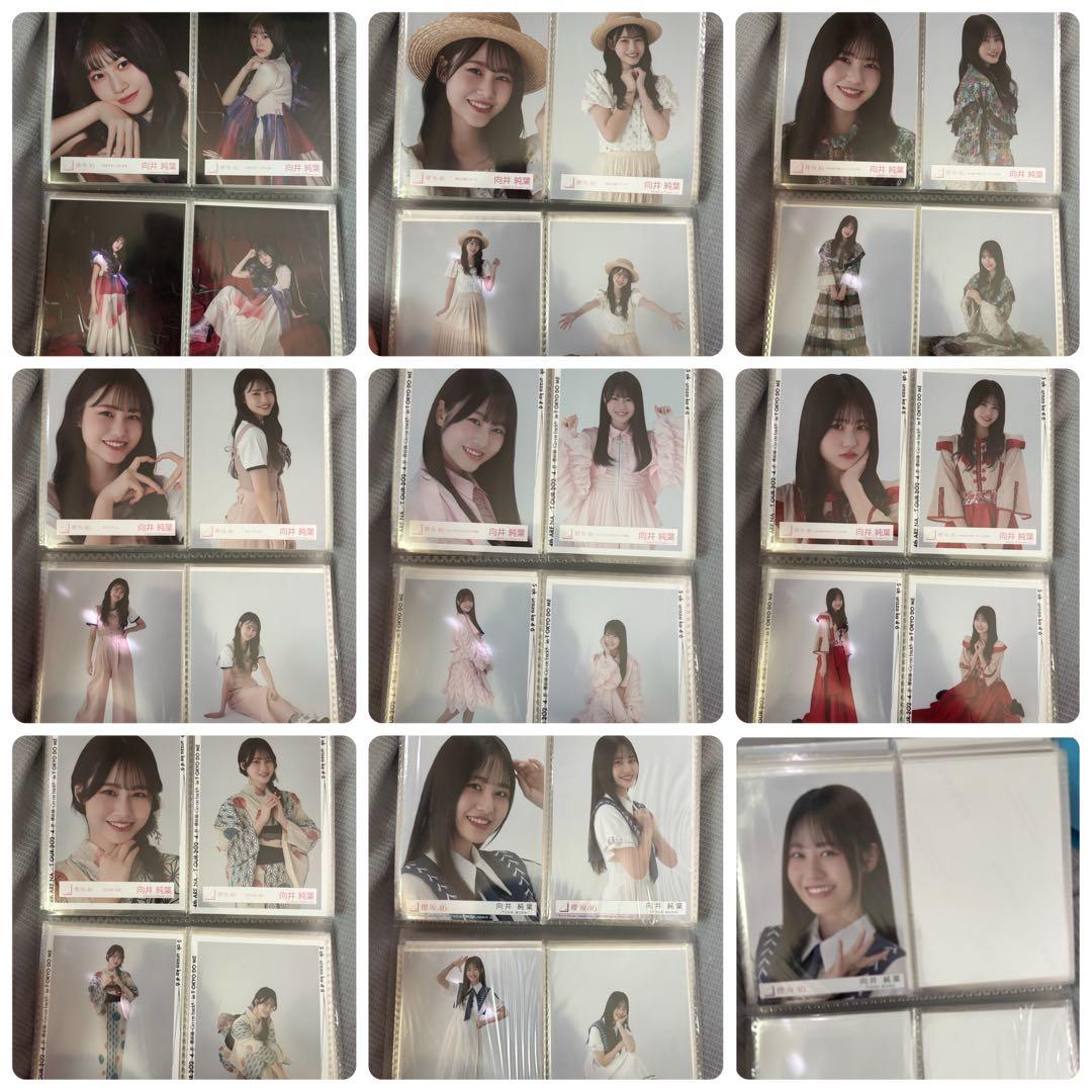 櫻坂46 向井純葉 生写真 コンプ まとめ売り
