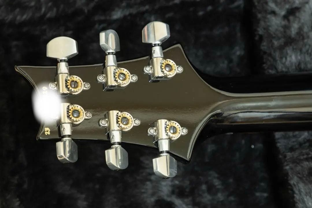 ギター PRS SPECIAL 22 SEMI-HOLLOW (2023)