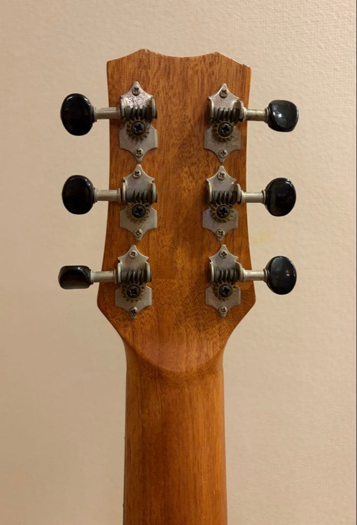 リメンバーミー コルドバ Cordoba ミニギター