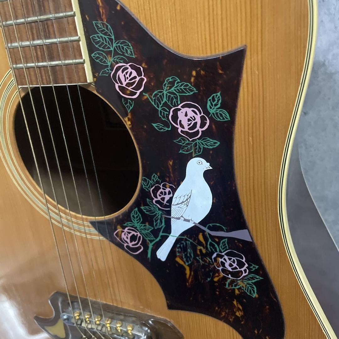 【希少 国産ヴィンテージ】Tomson TGF-351 アコースティックギター