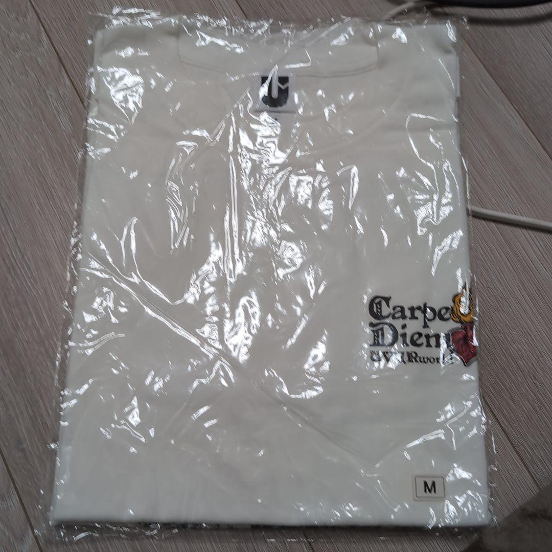 I'M GONNA GO Tシャツ Mサイズ