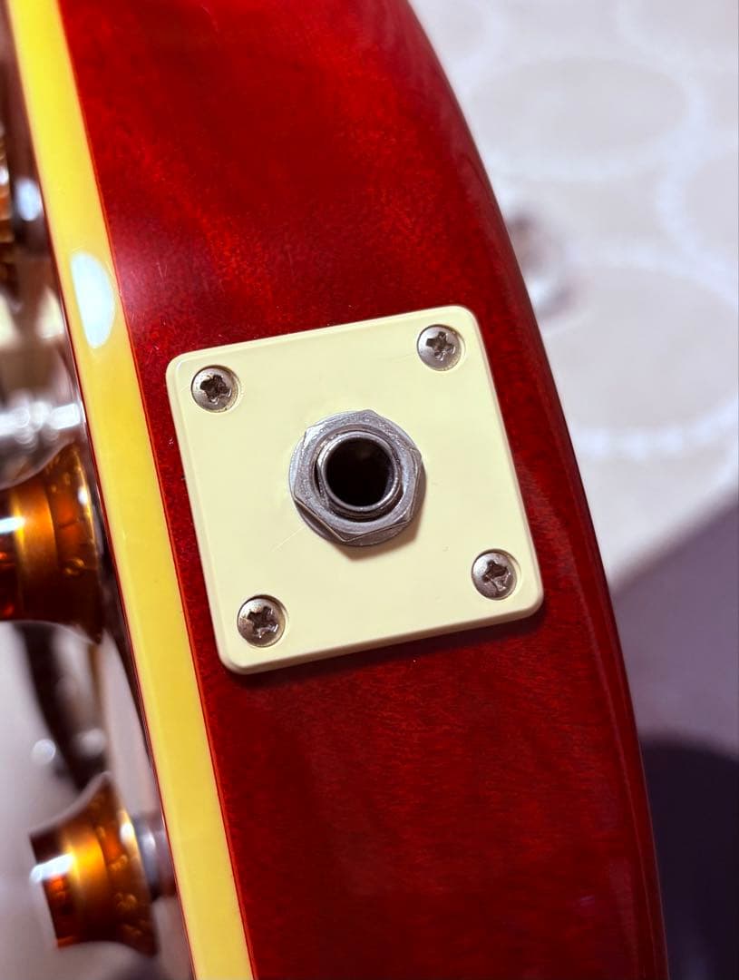 Epiphone Les Paul Standard Pro （コイルタップ付）