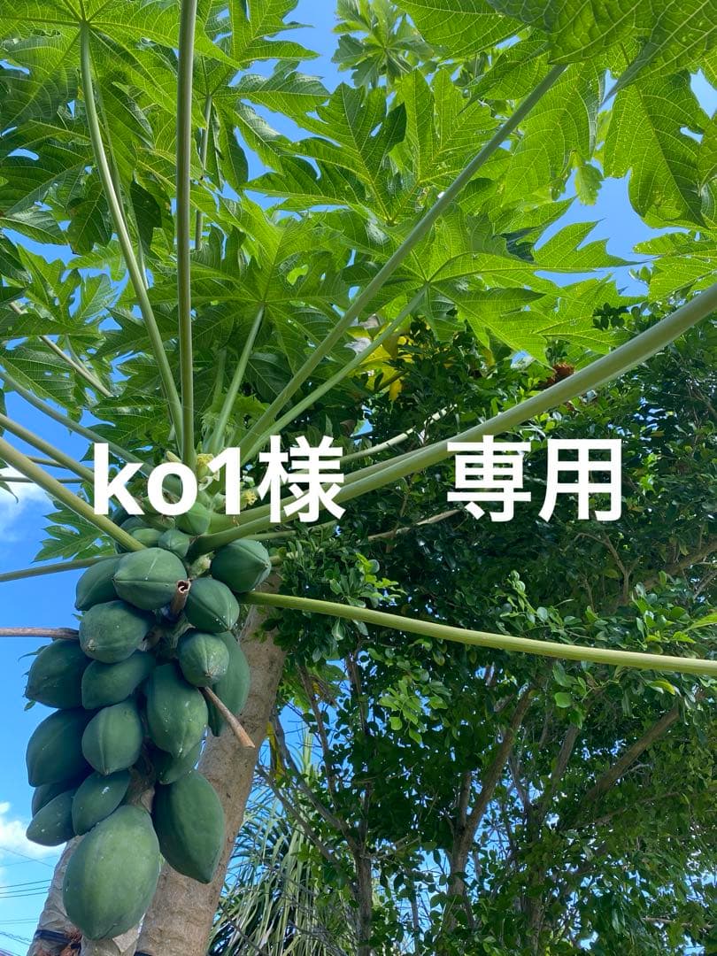 バルセロナユニフォーム　25/26クンデ