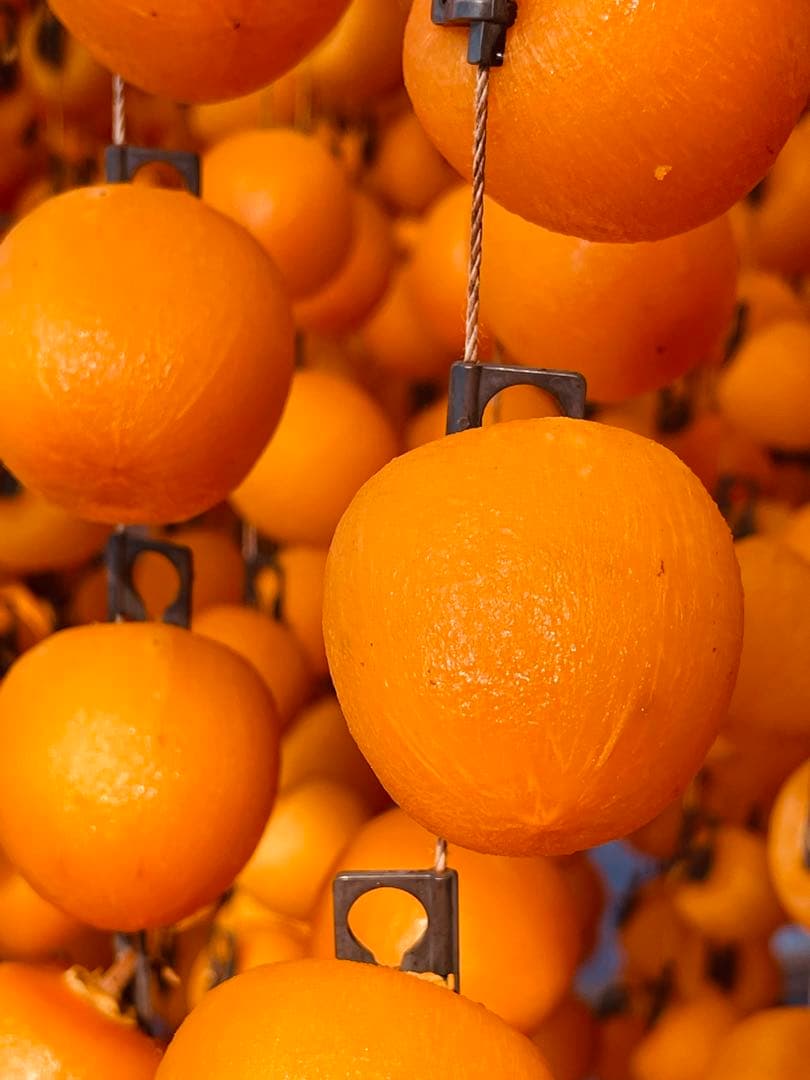 市田柿大粒ＬＬサイズ バラ5kg 年末値下げ！