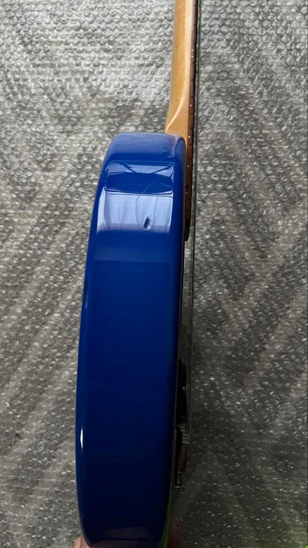 FERNANDES ZO-3 (ブルー )専用ケース