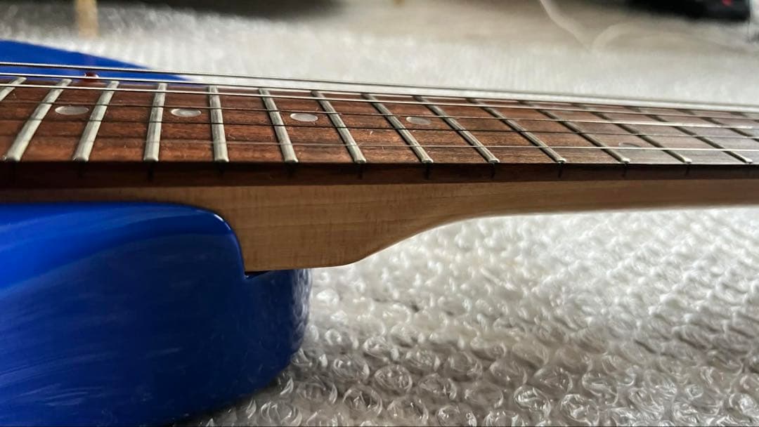 FERNANDES ZO-3 (ブルー )専用ケース