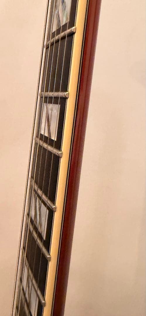 ギター Deluxe Mini DC Limited Edition MWLNT