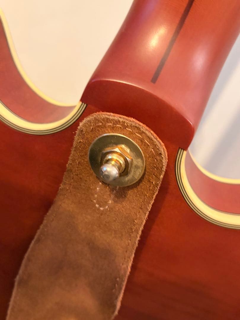 ギター Deluxe Mini DC Limited Edition MWLNT