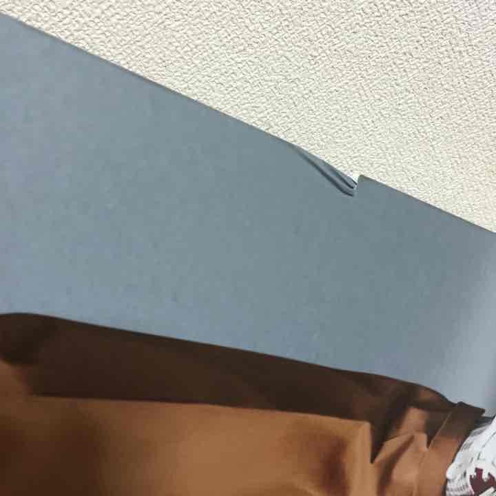 SPAO 等身大パネル ソルリ