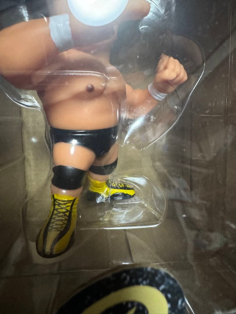 天龍源一郎 引退記念ソフビフィギュア　HAO チョップver 16d